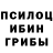 Псилоцибиновые грибы Cubensis Trilom