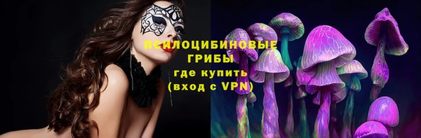 apvp Заволжье