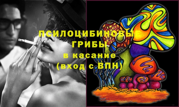 a pvp Ельня