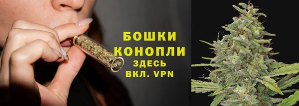 сатива Елабуга