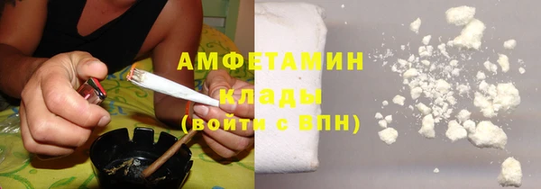 сатива Елабуга