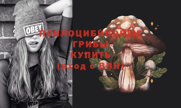 сатива Елабуга