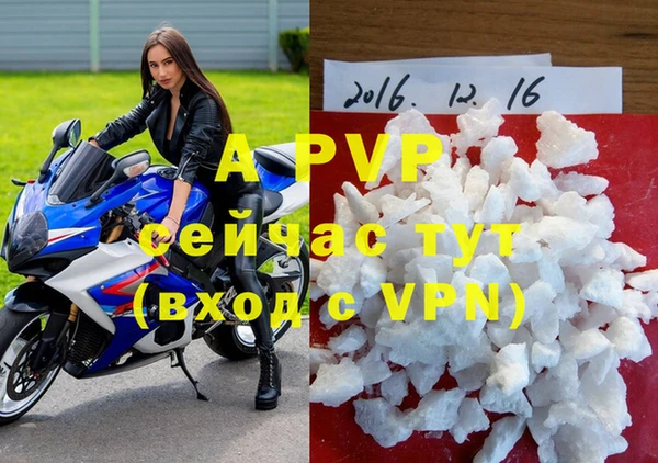 сатива Елабуга