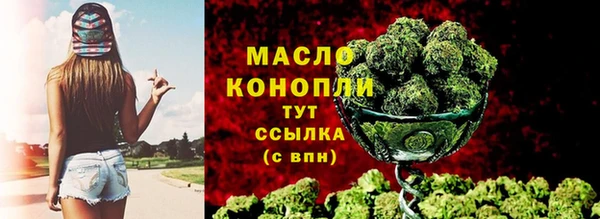сатива Елабуга