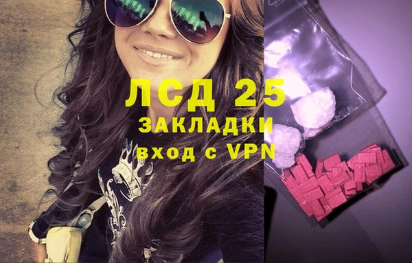 сатива Елабуга