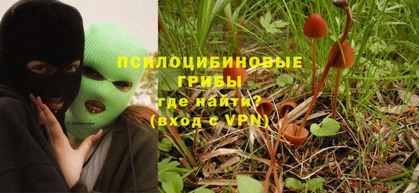 apvp Заволжье