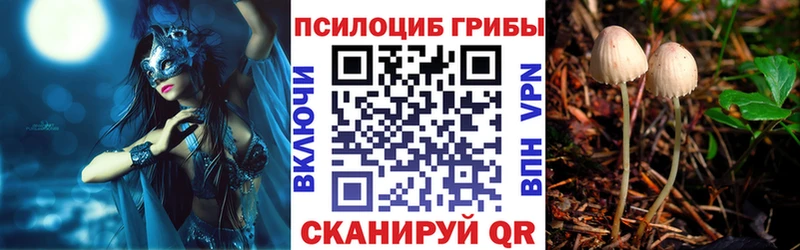 Псилоцибиновые грибы Cubensis  ОМГ ОМГ   Сретенск 